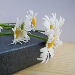 BUNGA BOX