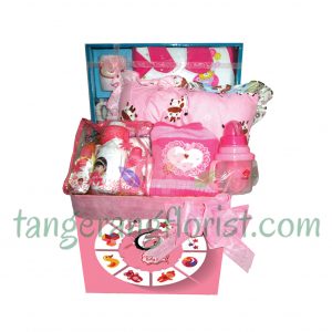 New Baby Born Baby Pink di Tangerang Florist