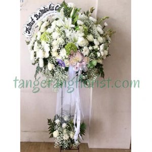 Bunga Standing Chiaro Di Luna di Tangerang