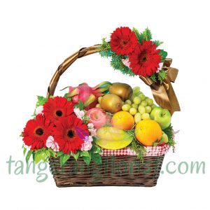 Parcel Buah Fruity Treats